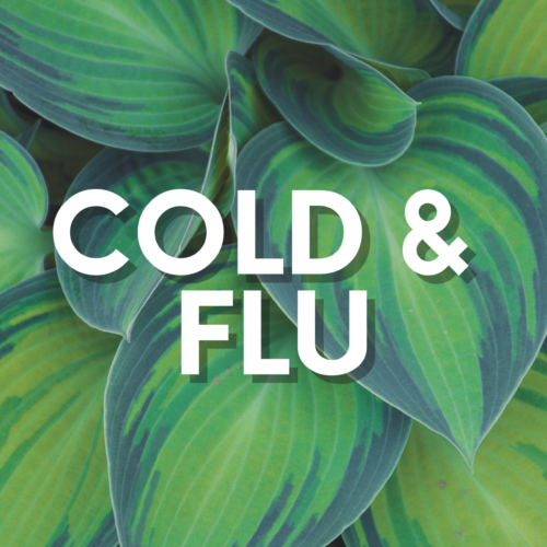 Allergy/Cold/Flu