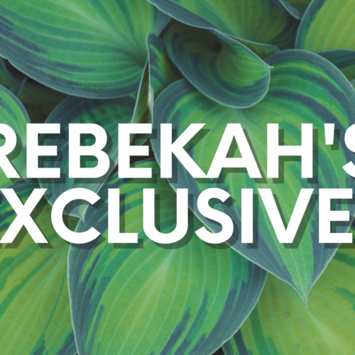 Rebekah’s Exclusives