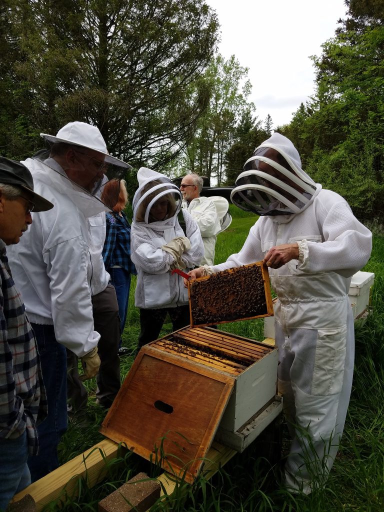 A group of people wear beekeeping garments and observe Mark Spencer holding part of the hive covered in bees.
