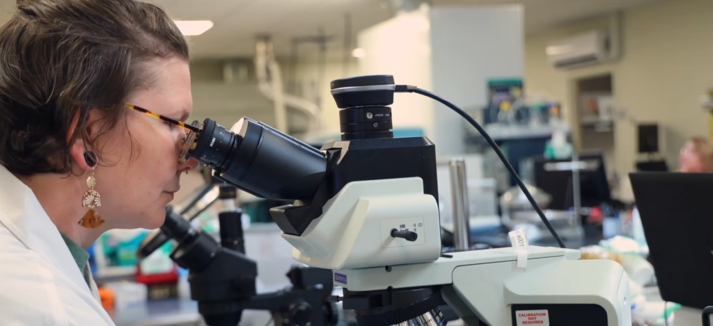 Woman employee at Vitality Works peers into microscope.