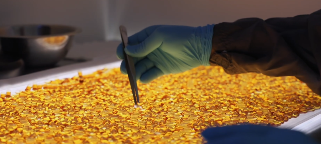 Employee at Vitality Works uses tweezers to inspect supplement capsules.